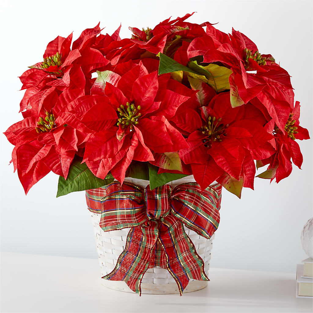 Happiest Holidays Poinsettia – Fleuriste Thalia, Varennes PQ