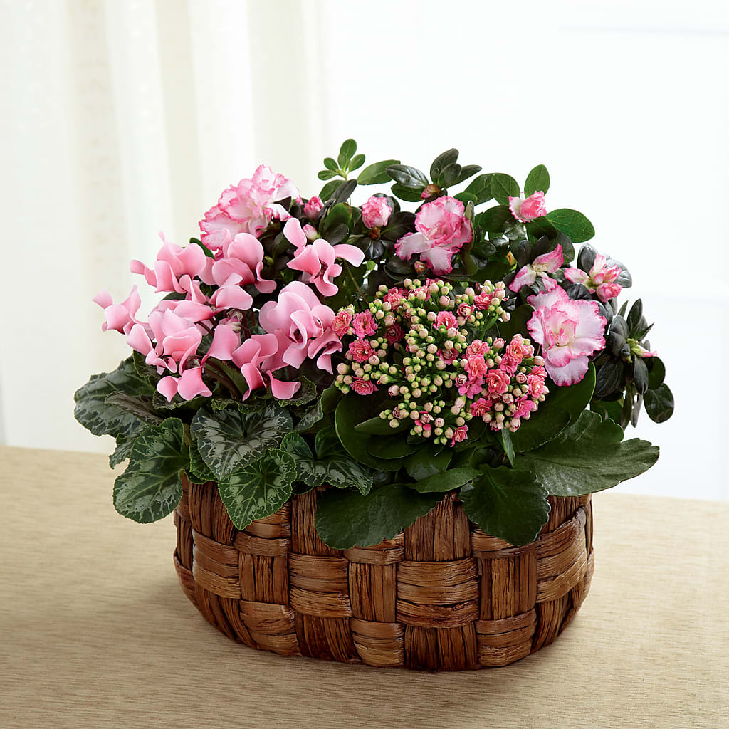 Pink Assortment – Fleuriste Thalia, Varennes PQ