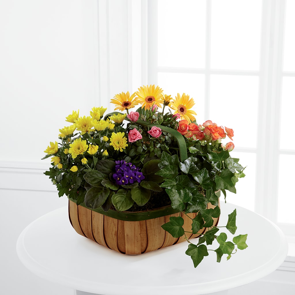 Gentle Blossoms Basket – Fleuriste Thalia, Varennes PQ