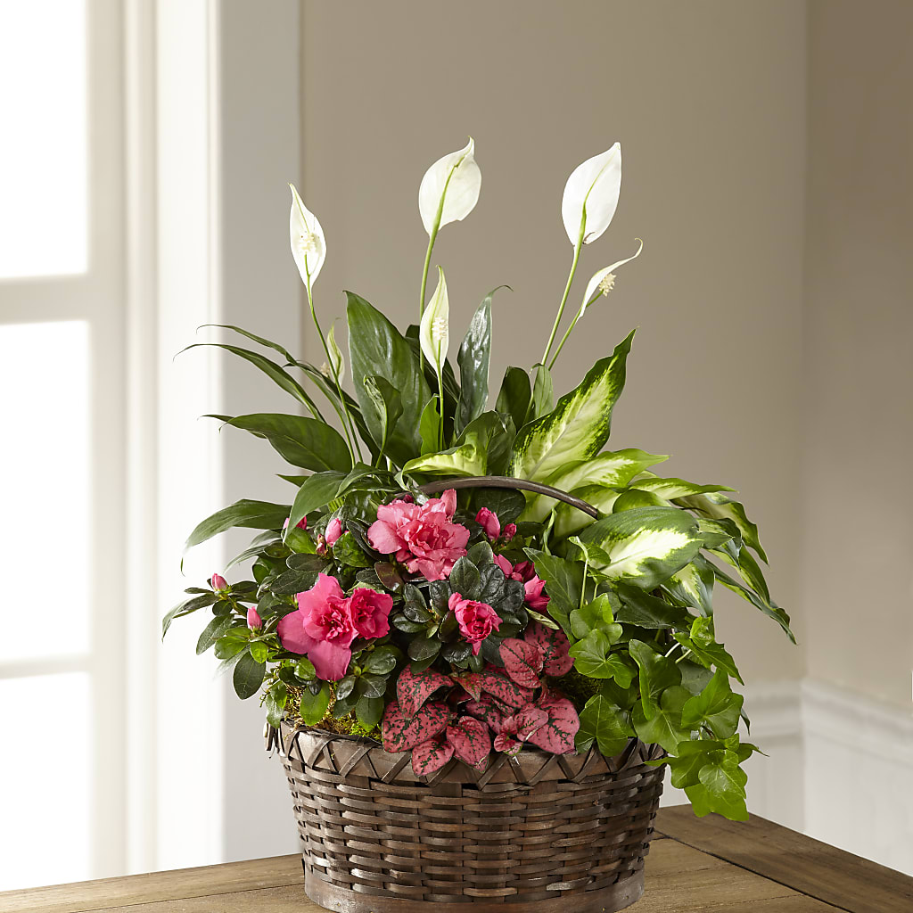 Dream in Pink Dishgarden – Fleuriste Thalia, Varennes PQ