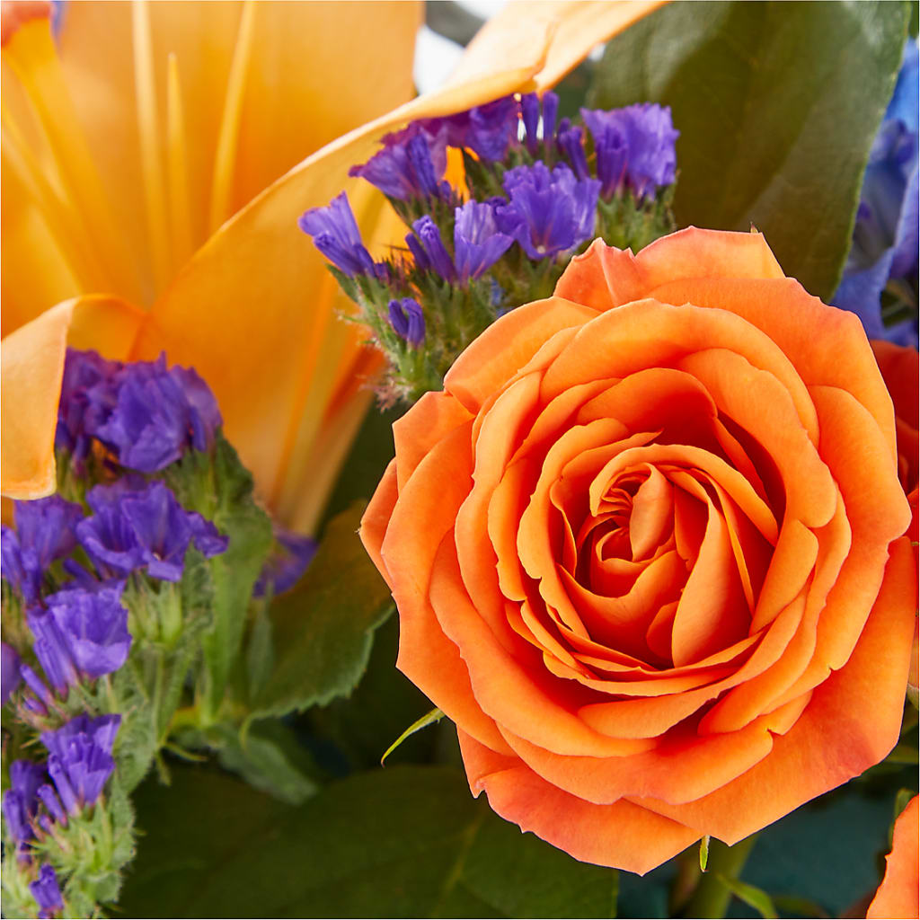 Radiant Citrus Box Bouquet – Fleuriste Thalia, Varennes PQ