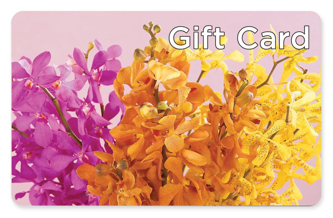 Gift Card – Fleuriste Thalia, Varennes PQ