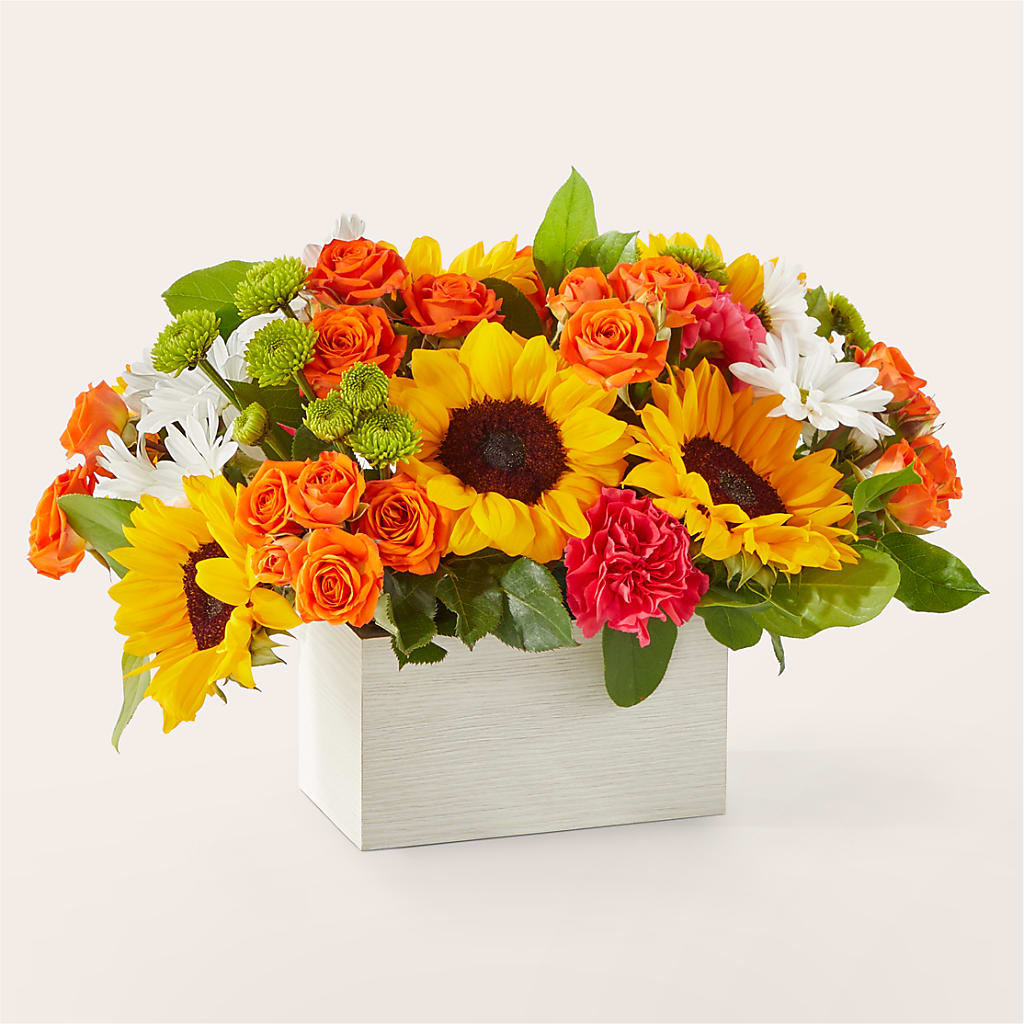 Sun-drenched Blooms Box Bouquet – Fleuriste Thalia, Varennes PQ