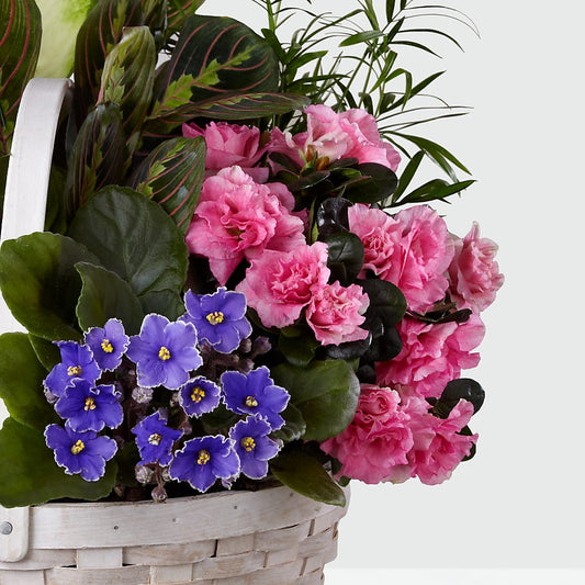 Peaceful Garden Planter – Fleuriste Thalia, Varennes PQ