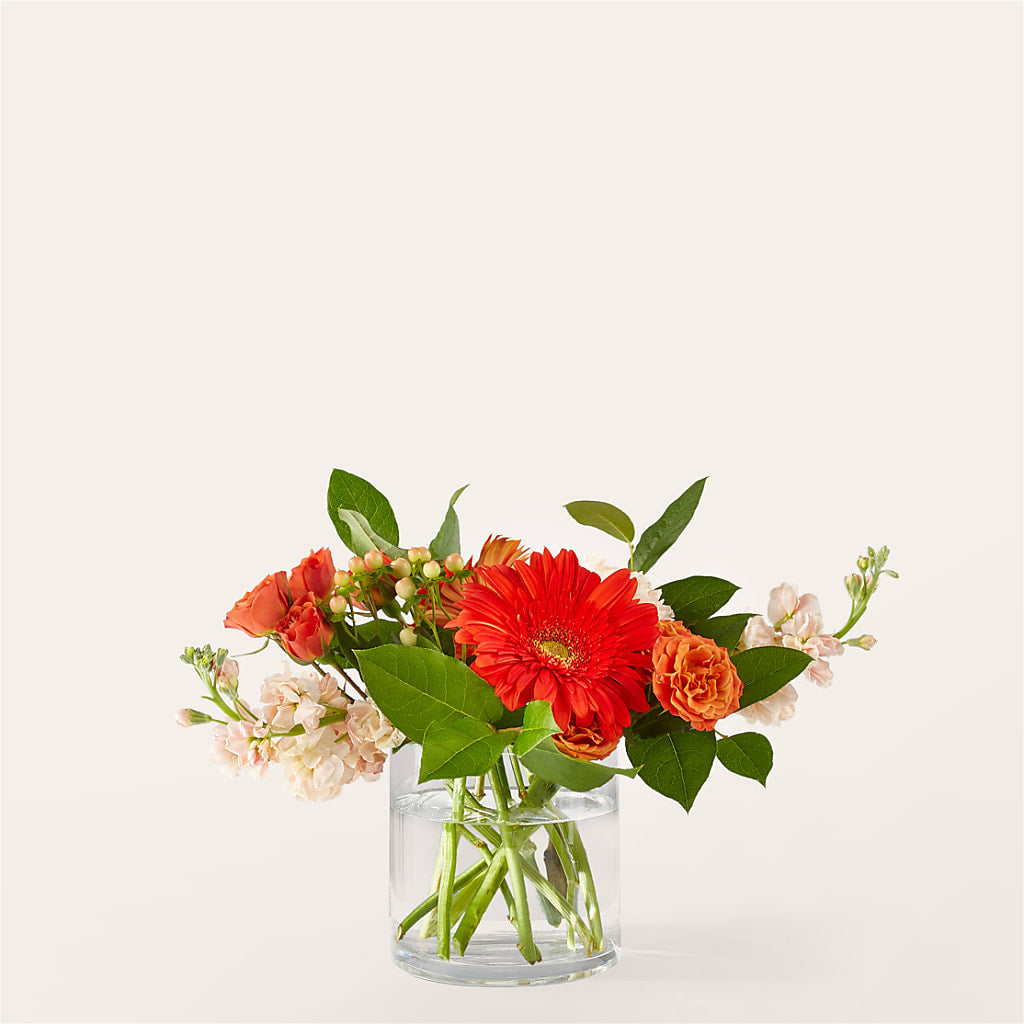 Paloma Please Bouquet – Fleuriste Thalia, Varennes PQ