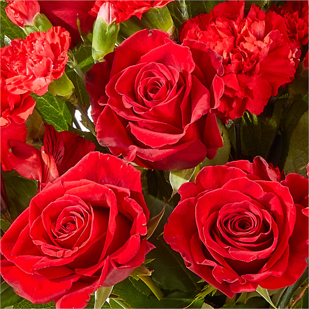 The Heartstrings Bouquet – Fleuriste Thalia, Varennes PQ