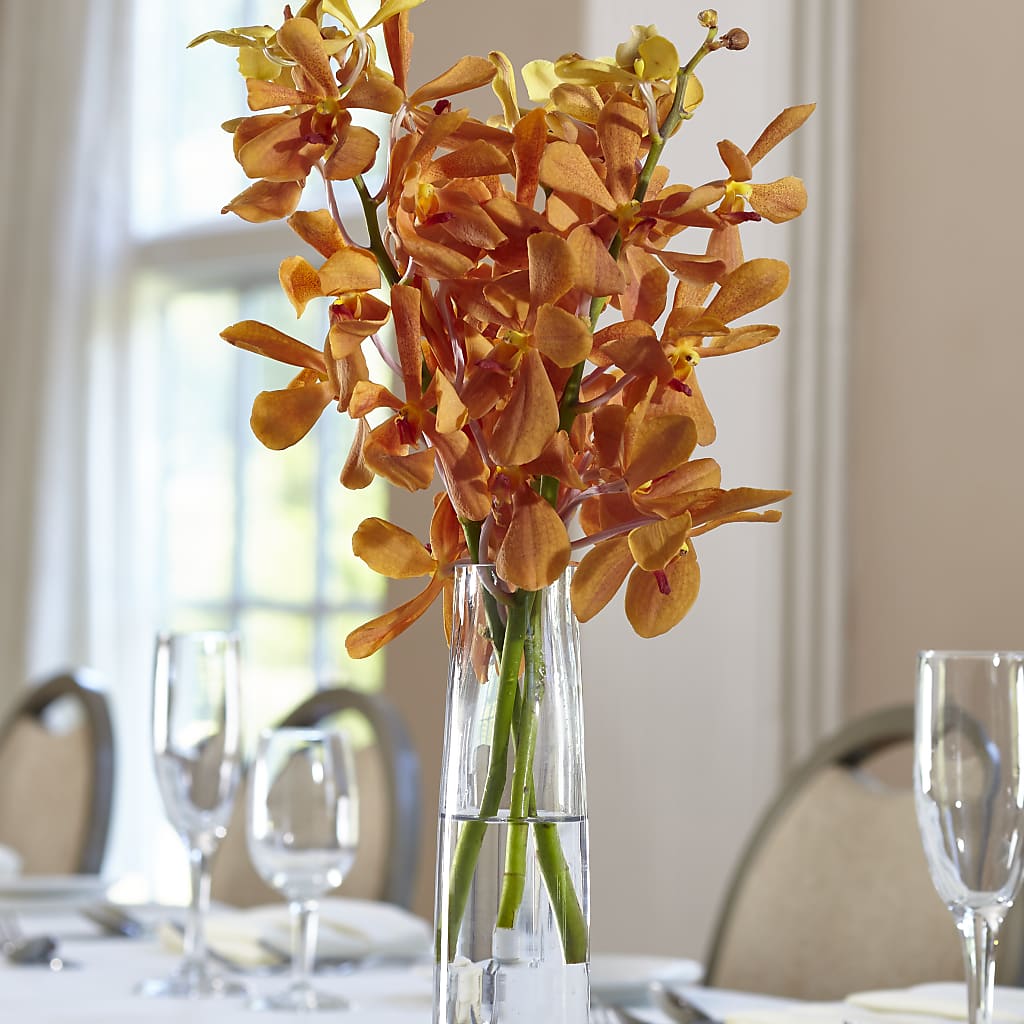 Orange Mokara Bud Vase – Fleuriste Thalia, Varennes PQ
