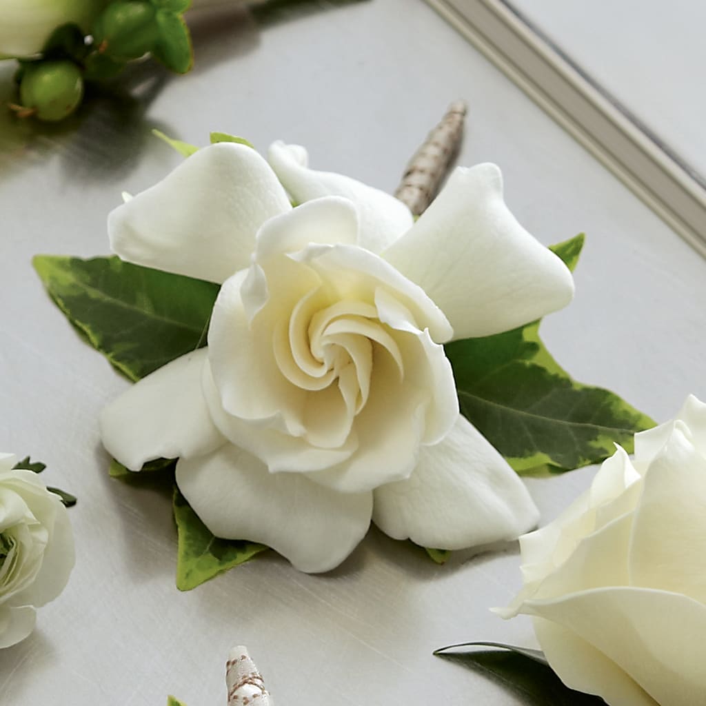 Gardenia Boutonniere – Fleuriste Thalia, Varennes PQ
