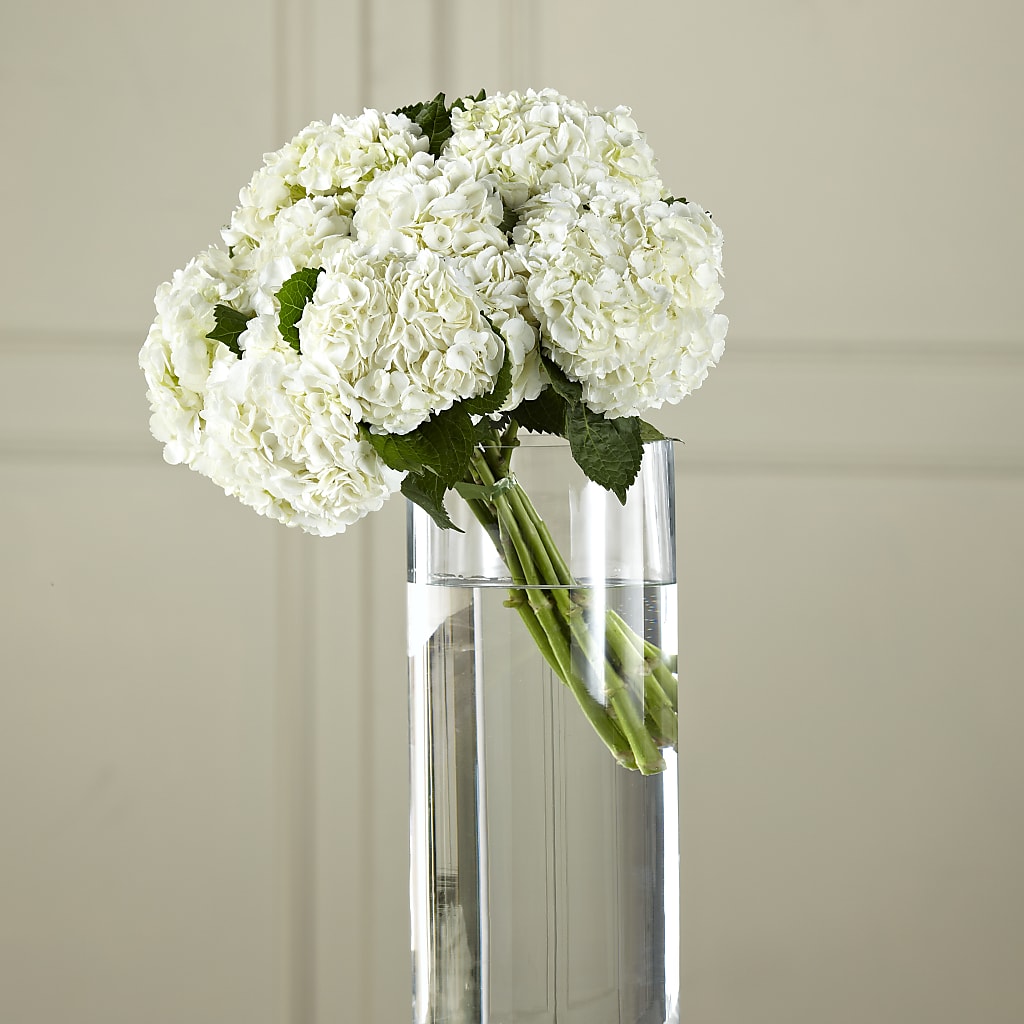 White Hydrangea Hand-Tied Bouquet – Fleuriste Thalia, Varennes PQ