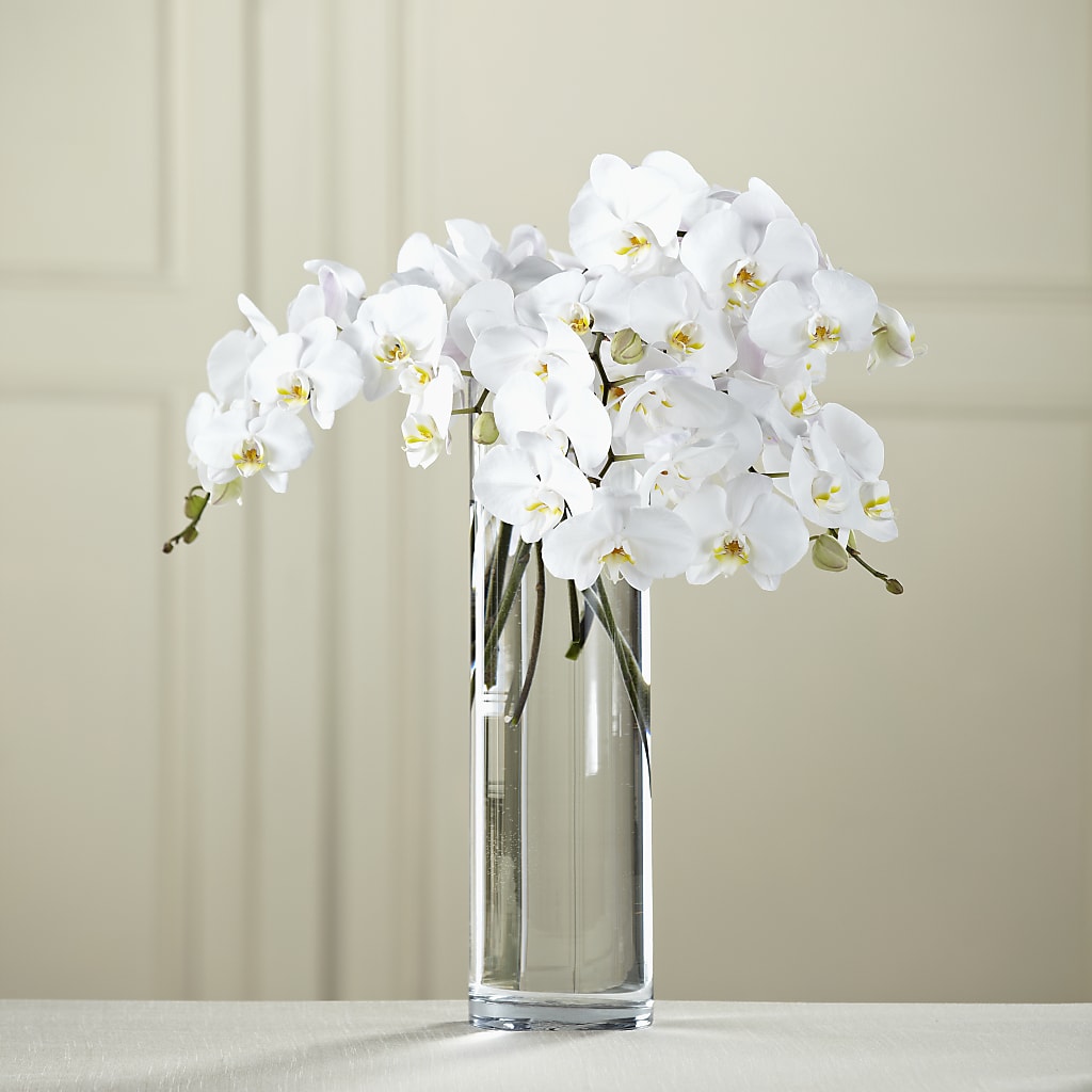 White Phalaenopsis Bouquet – Fleuriste Thalia, Varennes PQ