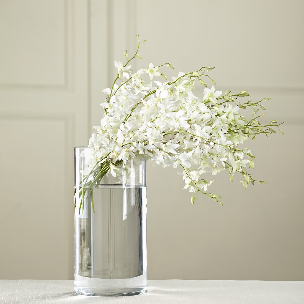 White Dendrobium Bouquet – Fleuriste Thalia, Varennes PQ