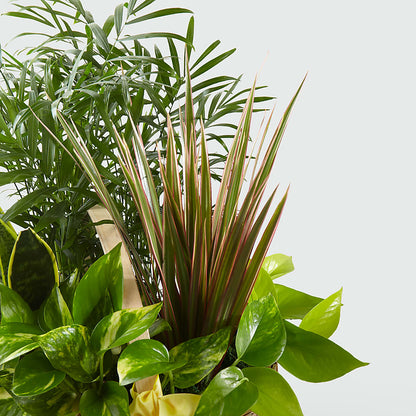 French Garden –  Fleuriste Thalia, Varennes PQ