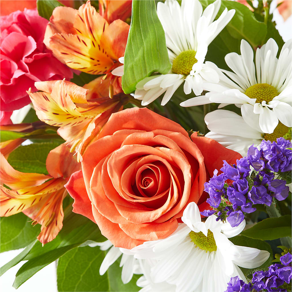 Oopsie Daisy Box Bouquet –  Fleuriste Thalia, Varennes PQ