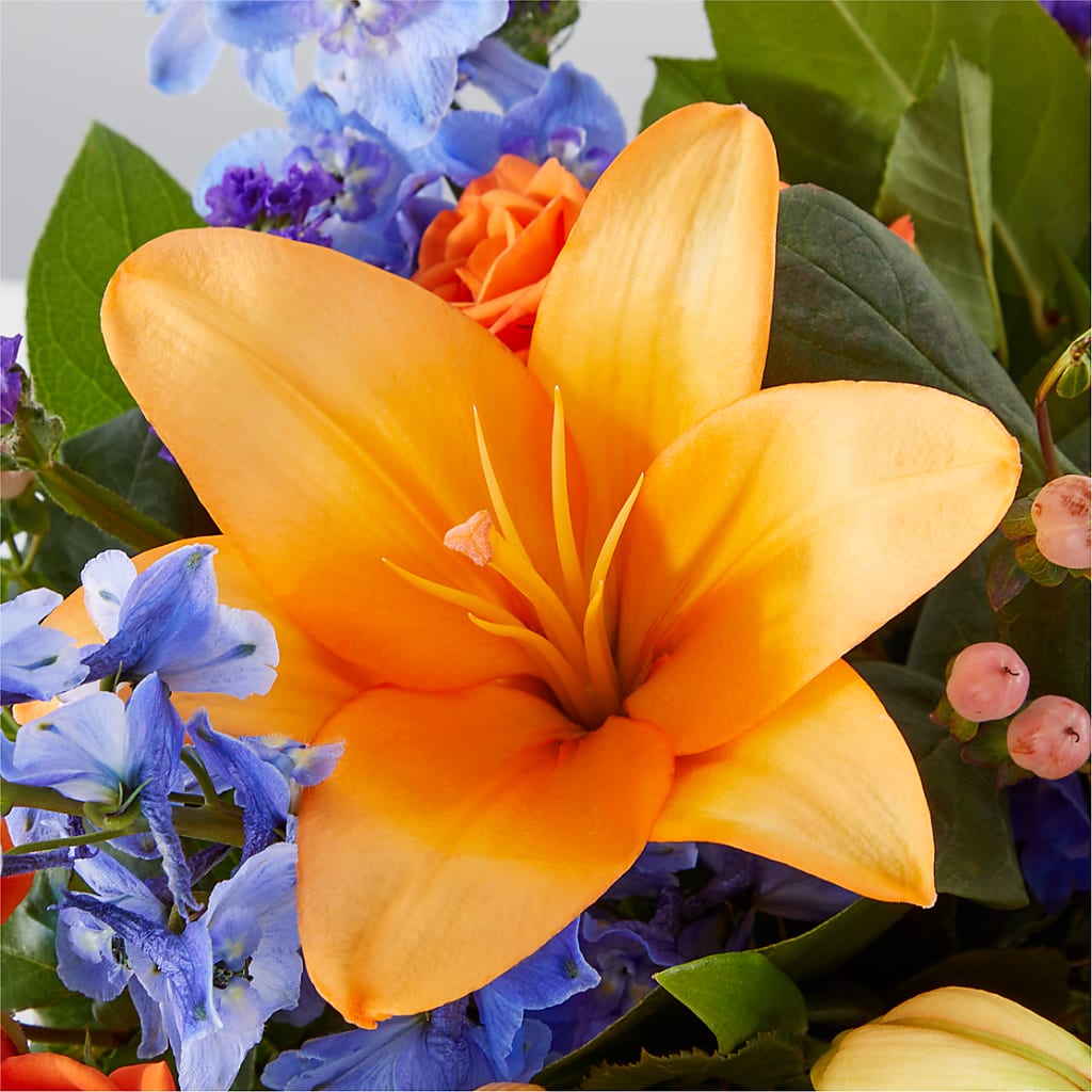 Radiant Citrus Box Bouquet –  Fleuriste Thalia, Varennes PQ