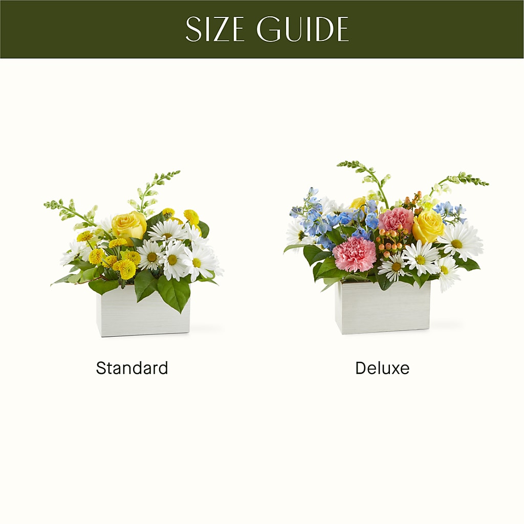 Sun Salutation Box Bouquet –  Fleuriste Thalia, Varennes PQ