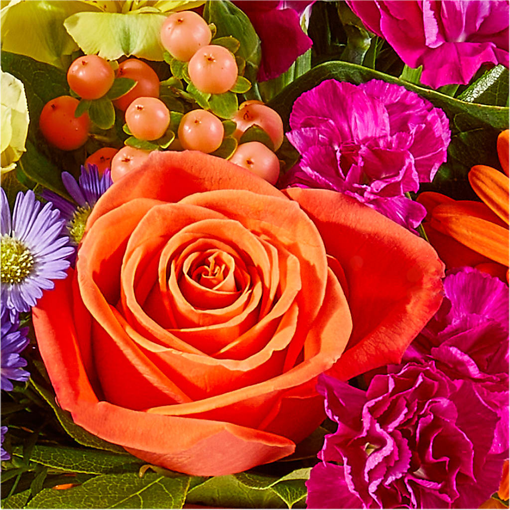 Tricks & Treats Pumpkin –  Fleuriste Thalia, Varennes PQ