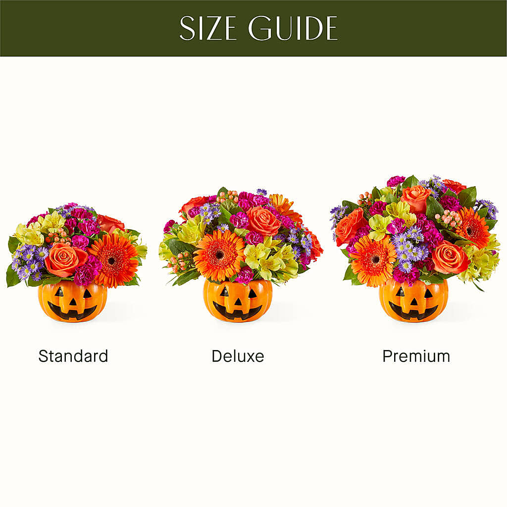 Tricks & Treats Pumpkin –  Fleuriste Thalia, Varennes PQ