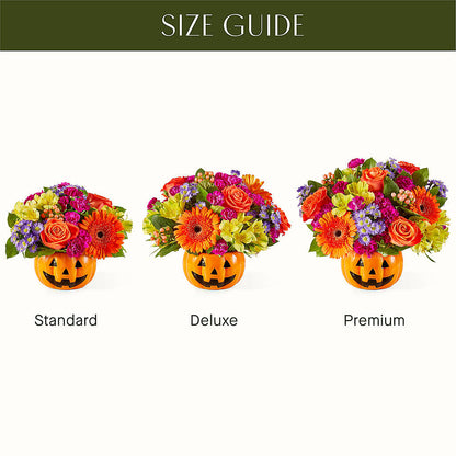Tricks & Treats Pumpkin –  Fleuriste Thalia, Varennes PQ