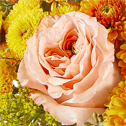 Peachy Pumpkin –  Fleuriste Thalia, Varennes PQ