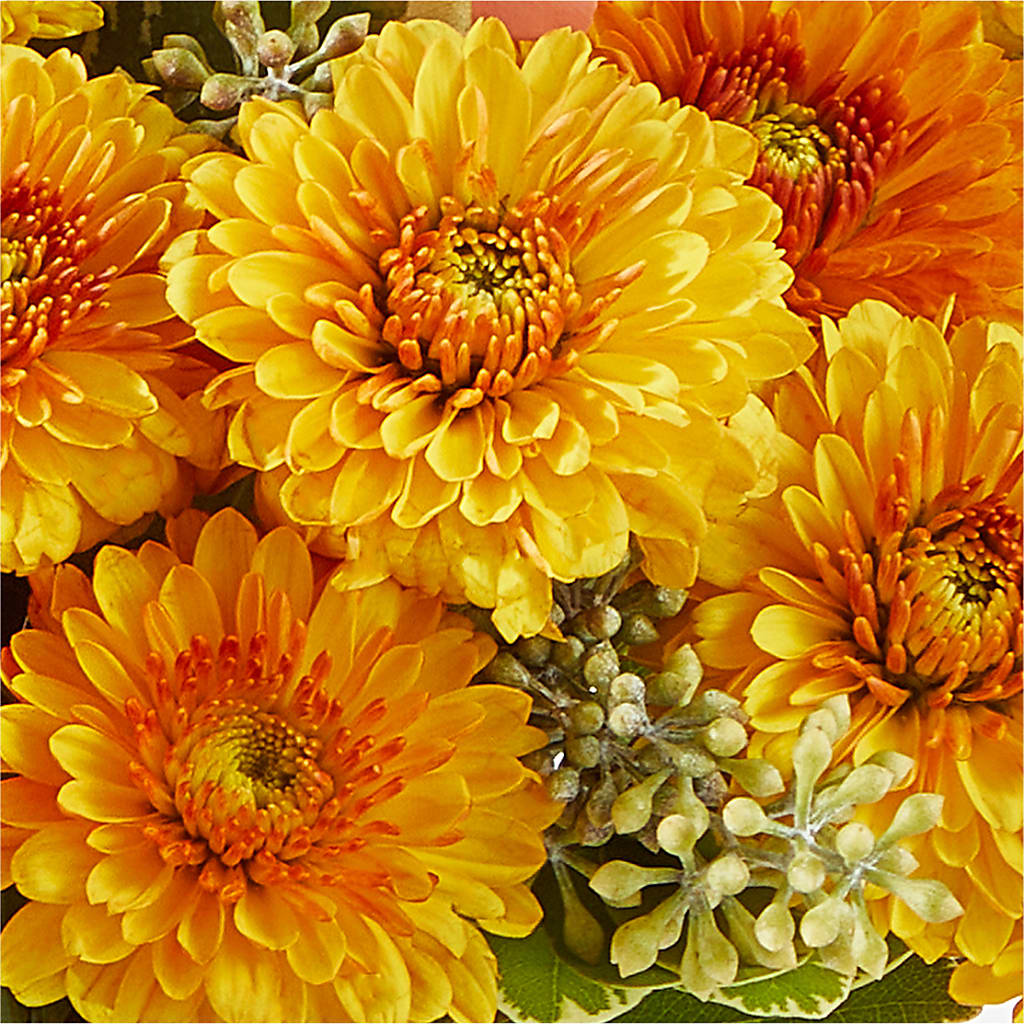 Peachy Pumpkin –  Fleuriste Thalia, Varennes PQ