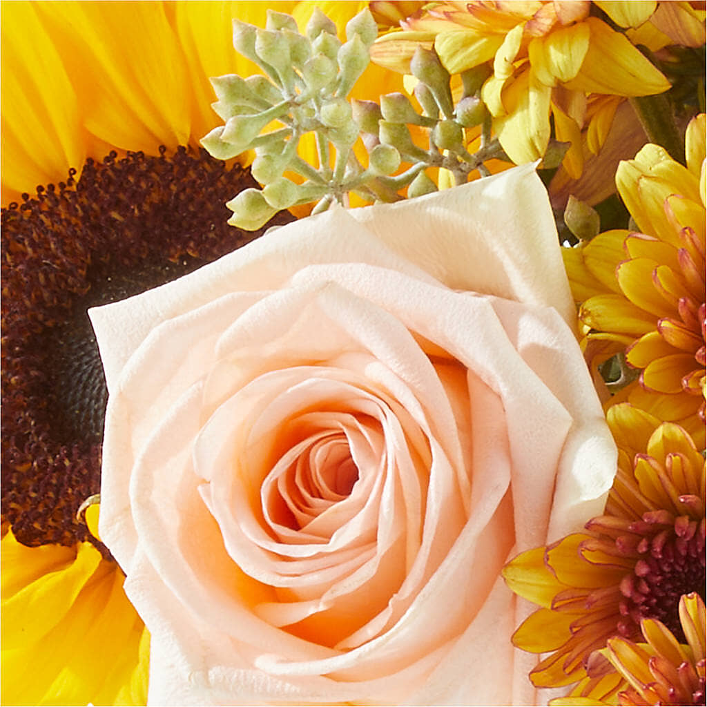 Pumpkin to Talk About Bouquet –  Fleuriste Thalia, Varennes PQ