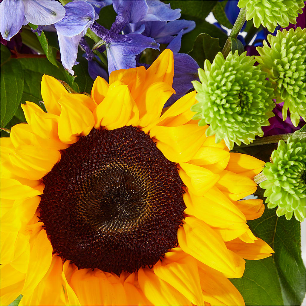 Catching Rays Bouquet –  Fleuriste Thalia, Varennes PQ