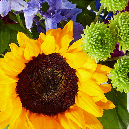 Catching Rays Bouquet –  Fleuriste Thalia, Varennes PQ