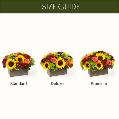 Happy Harvest Garden –  Fleuriste Thalia, Varennes PQ