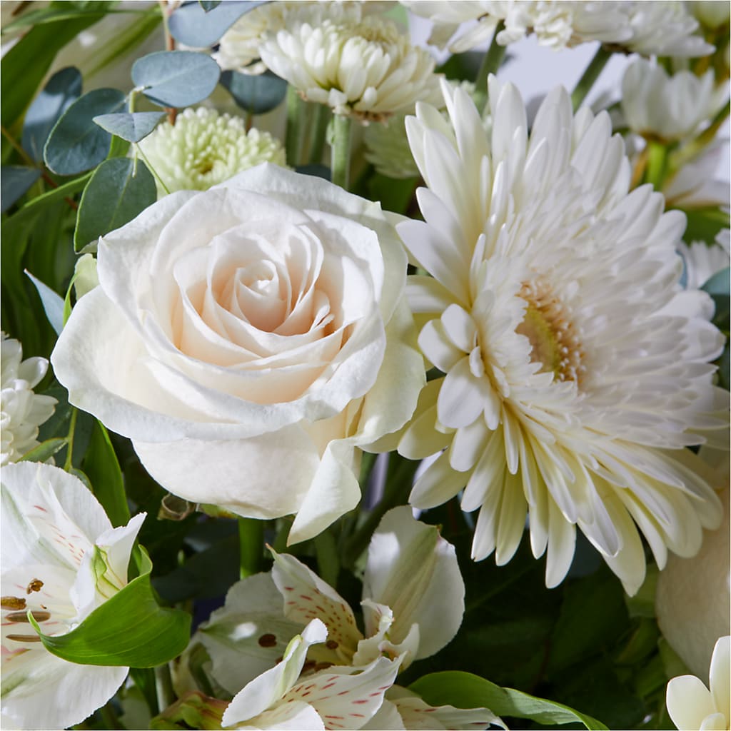 New Beginnings – A Florist Original –  Fleuriste Thalia, Varennes PQ