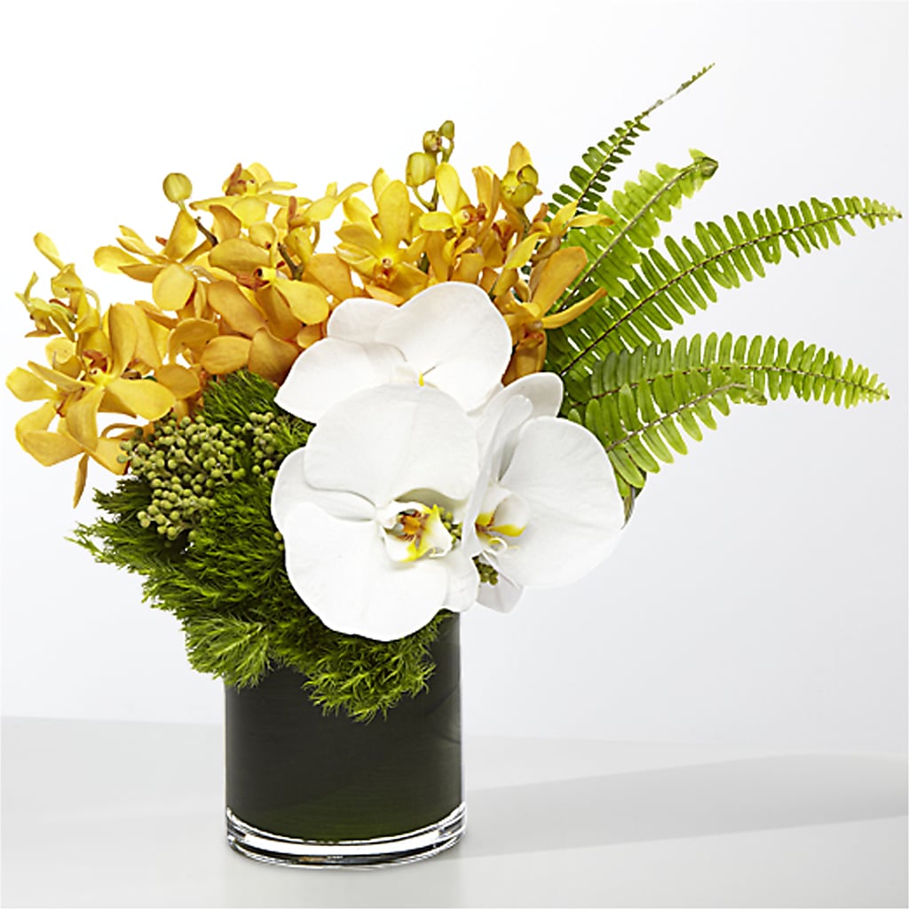 The Tropics –  Fleuriste Thalia, Varennes PQ
