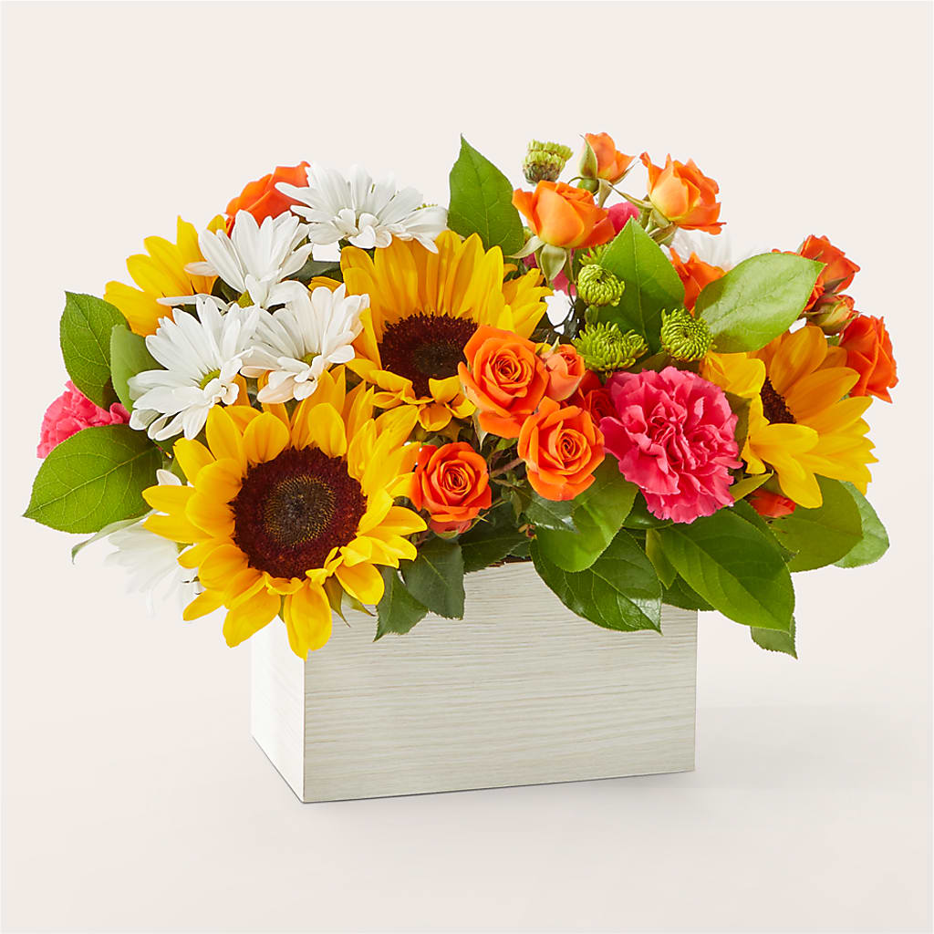 Sun-drenched Blooms Box Bouquet –  Fleuriste Thalia, Varennes PQ