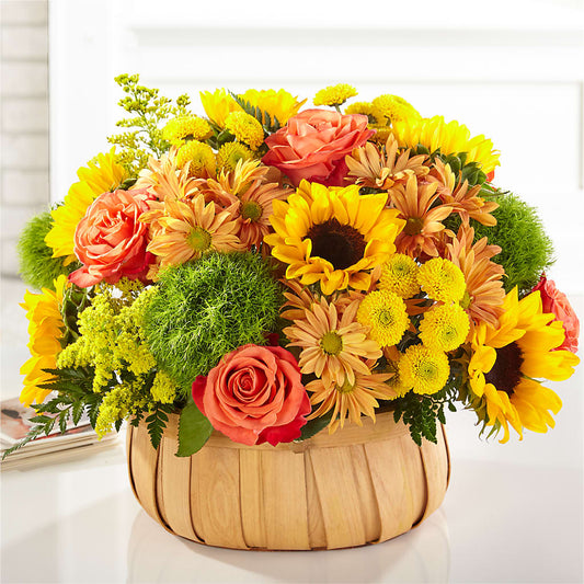 Harvest Sunflower Basket –  Fleuriste Thalia, Varennes PQ