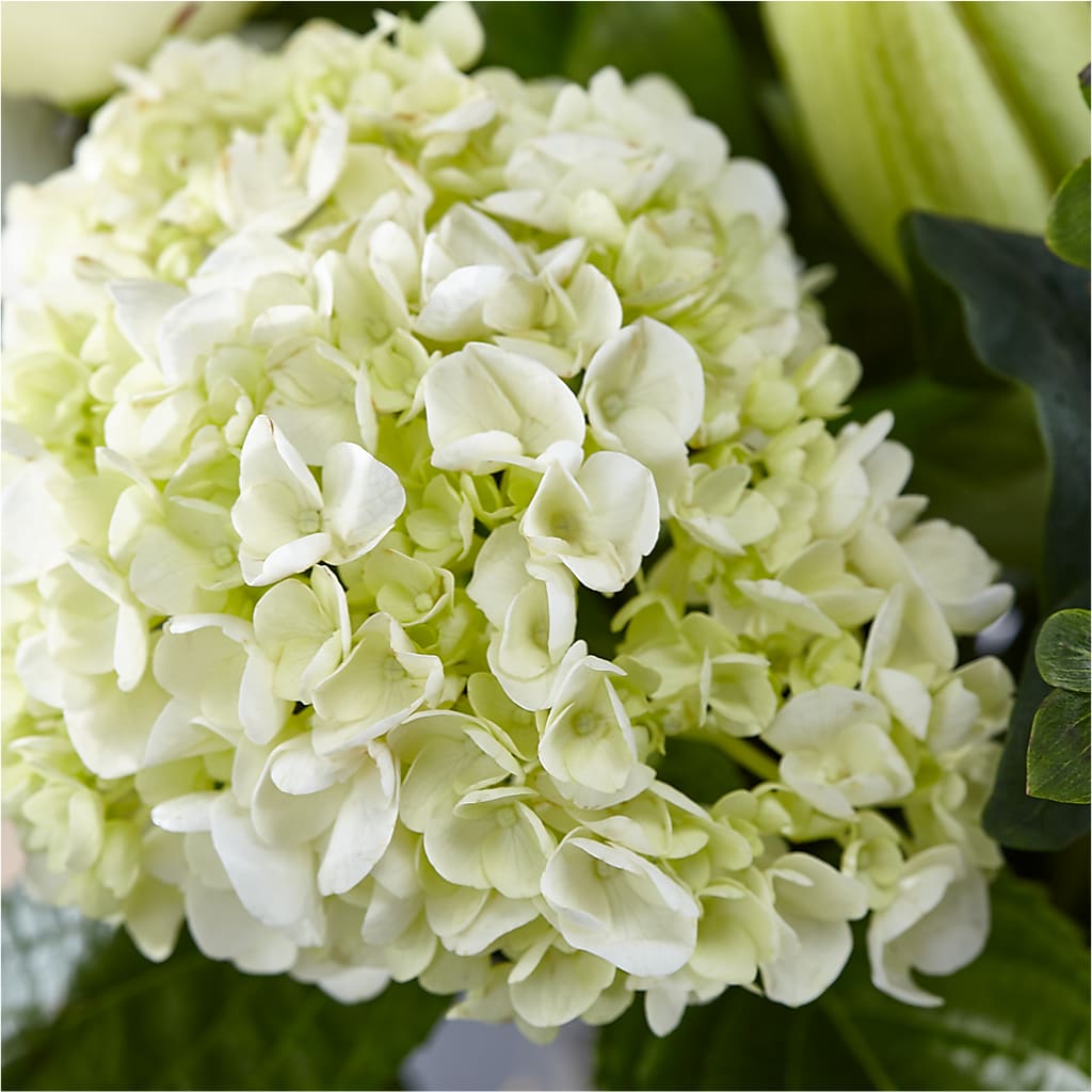 Classic Ivory – A Florist Original –  Fleuriste Thalia, Varennes PQ