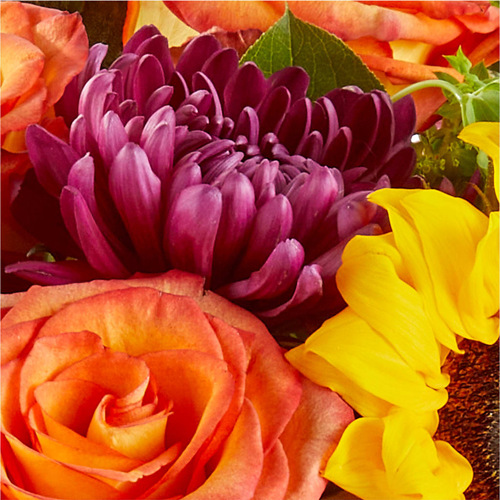 Nature Walk Bouquet –  Fleuriste Thalia, Varennes PQ