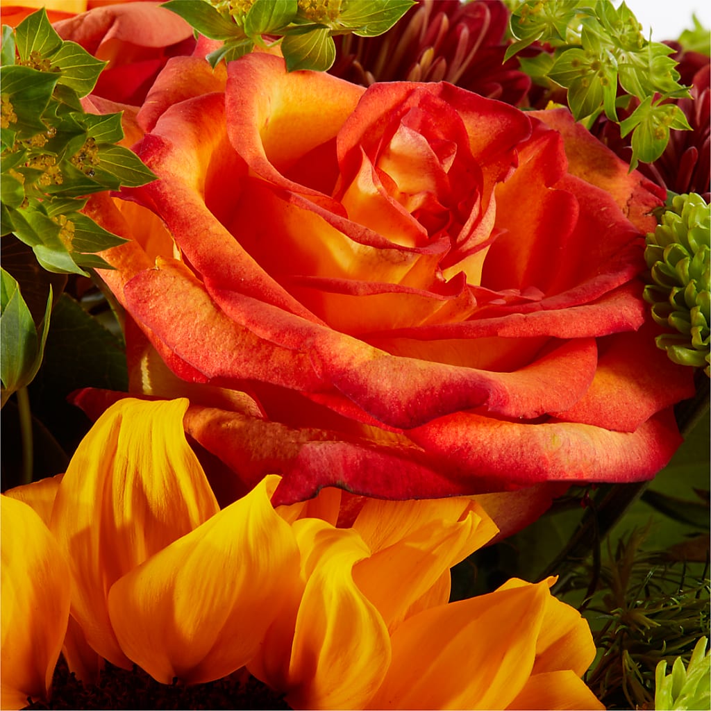 Harvest Festival Bouquet –  Fleuriste Thalia, Varennes PQ