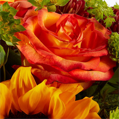 Harvest Festival Bouquet –  Fleuriste Thalia, Varennes PQ