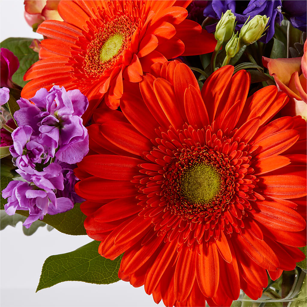 Sangria Bouquet –  Fleuriste Thalia, Varennes PQ