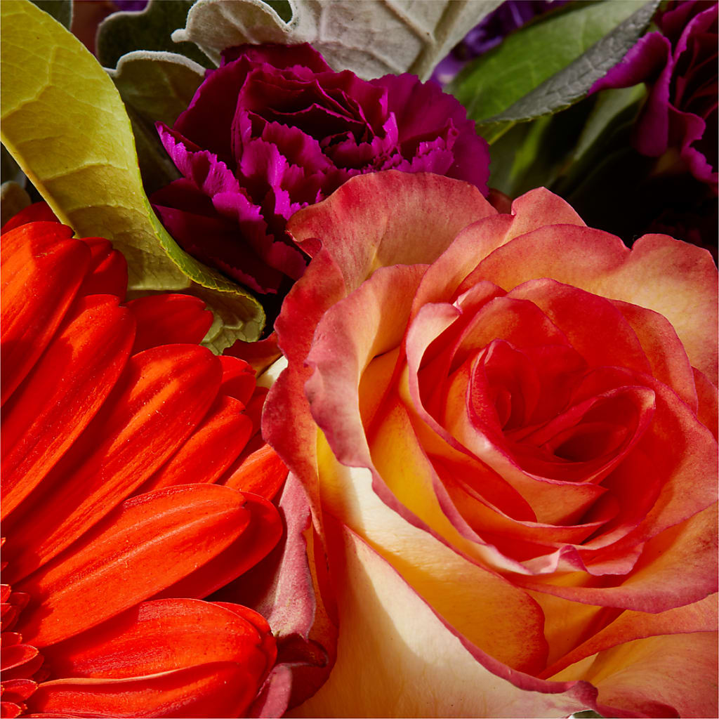 Sangria Bouquet –  Fleuriste Thalia, Varennes PQ