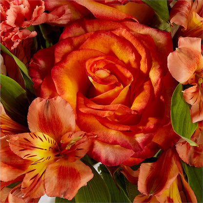 Apricot Glow Bouquet –  Fleuriste Thalia, Varennes PQ