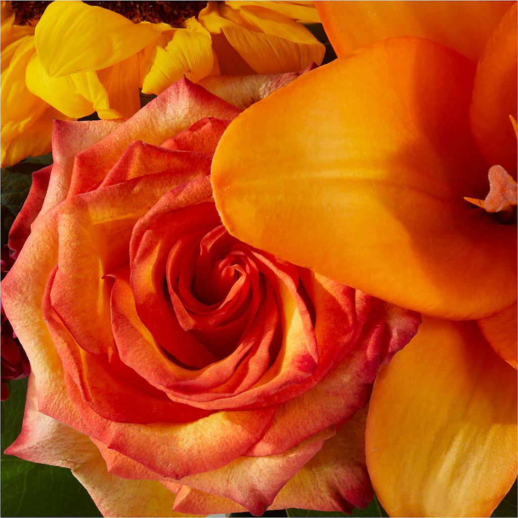 Grateful Centerpiece –  Fleuriste Thalia, Varennes PQ