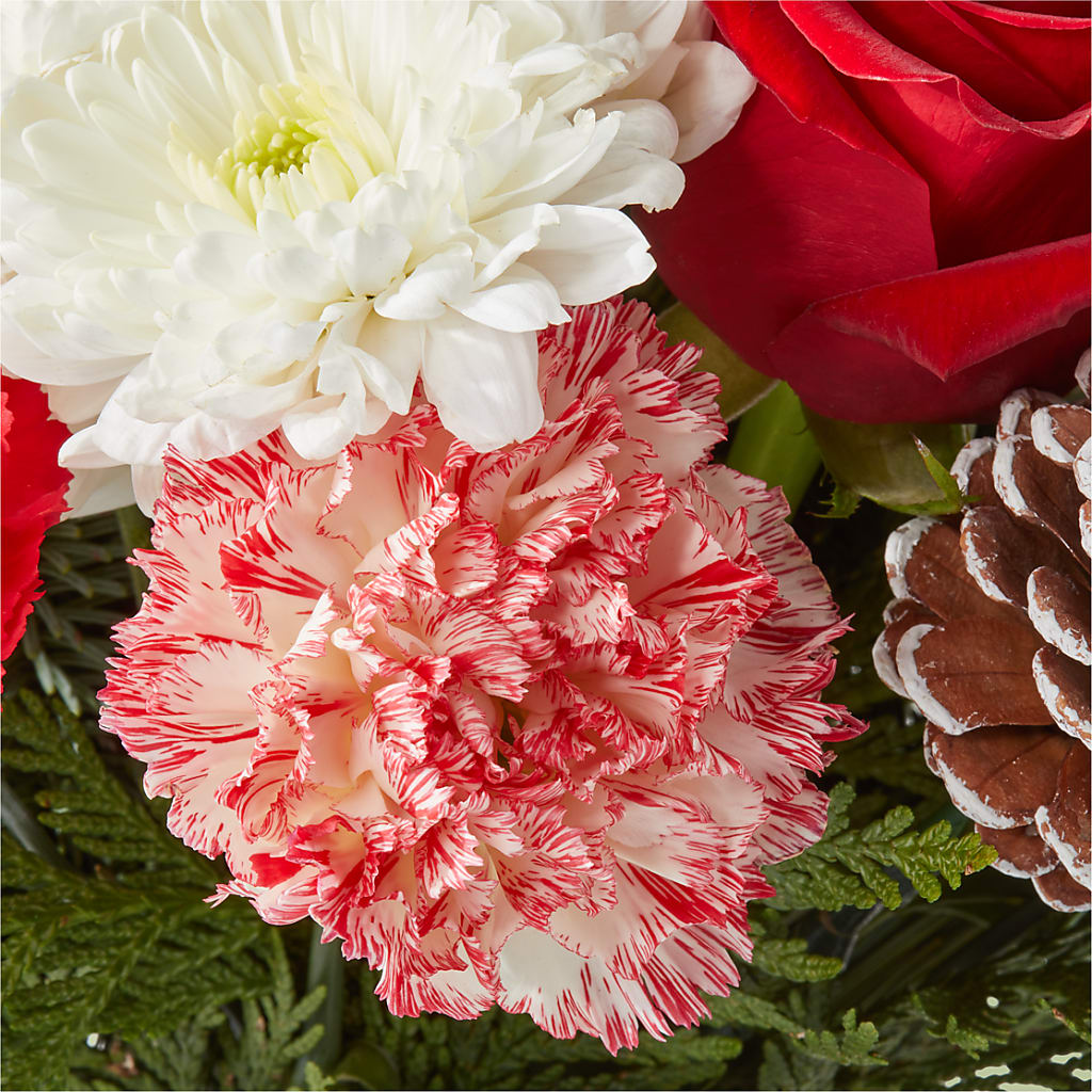 Candy Cane Lane Bouquet –  Fleuriste Thalia, Varennes PQ