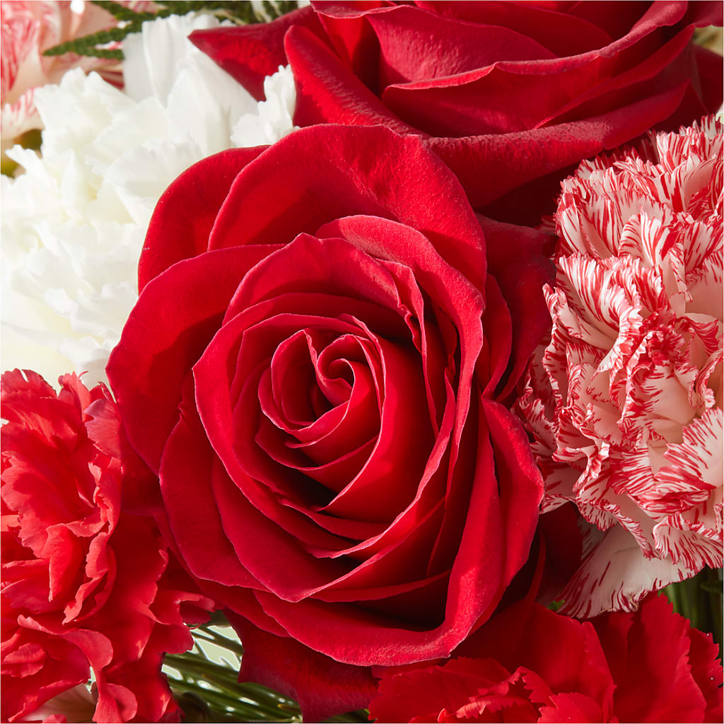 Candy Cane Lane Bouquet –  Fleuriste Thalia, Varennes PQ