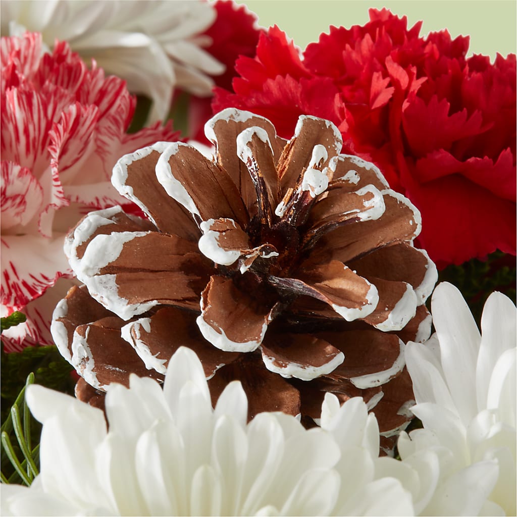 Candy Cane Lane Bouquet –  Fleuriste Thalia, Varennes PQ