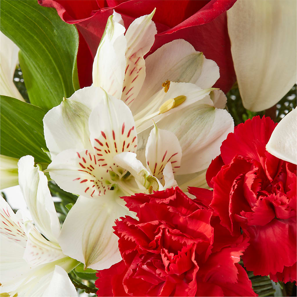 Holiday Season Bouquet –  Fleuriste Thalia, Varennes PQ