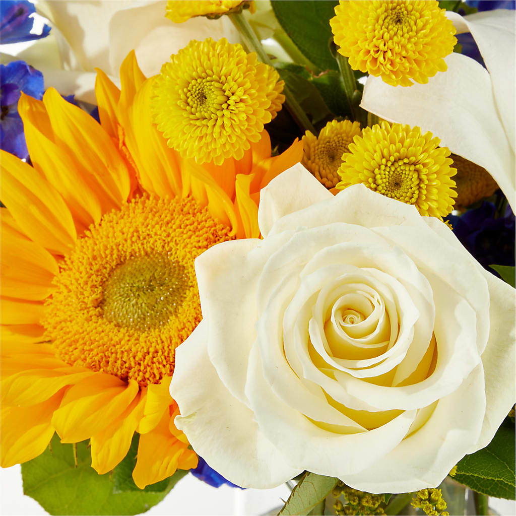 Stargazing Bouquet –  Fleuriste Thalia, Varennes PQ