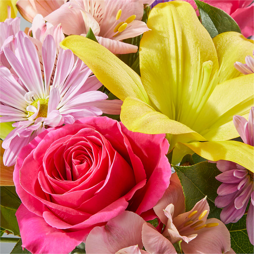 Sprinkles Bouquet –  Fleuriste Thalia, Varennes PQ