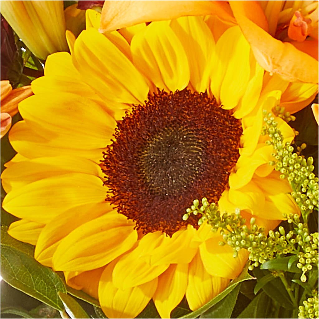 Seasons Change Bouquet –  Fleuriste Thalia, Varennes PQ