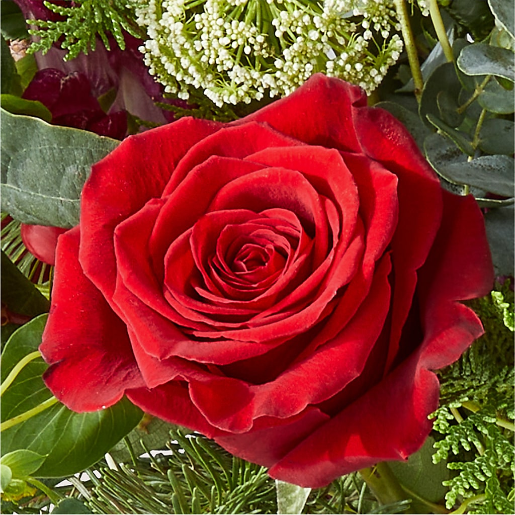 Cranberry Fizz Bouquet –  Fleuriste Thalia, Varennes PQ