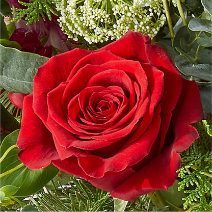 Cranberry Fizz Bouquet –  Fleuriste Thalia, Varennes PQ
