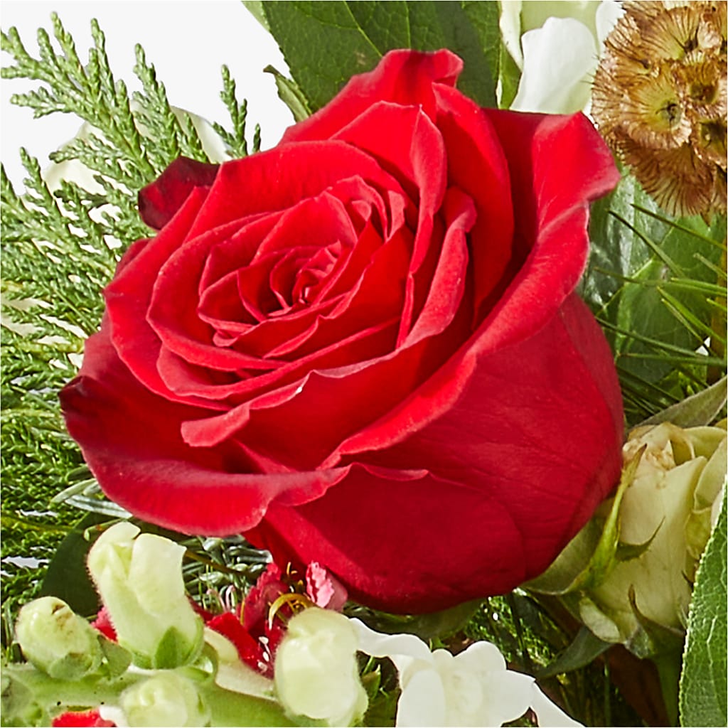 Deck the Halls Bouquet –  Fleuriste Thalia, Varennes PQ
